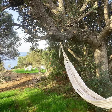 Domaine De La Coletta Bergerie Tatil Evi *