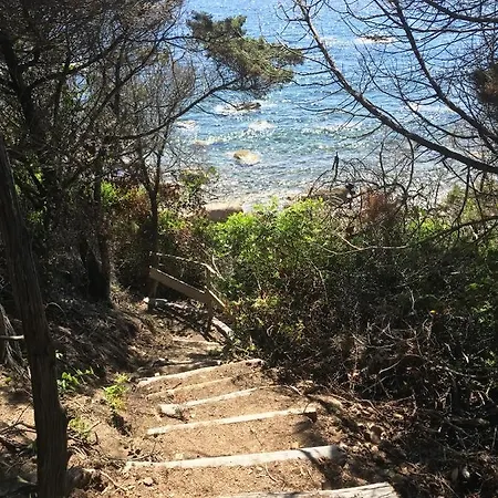 Domaine De La Coletta Bergerie Tatil Evi *