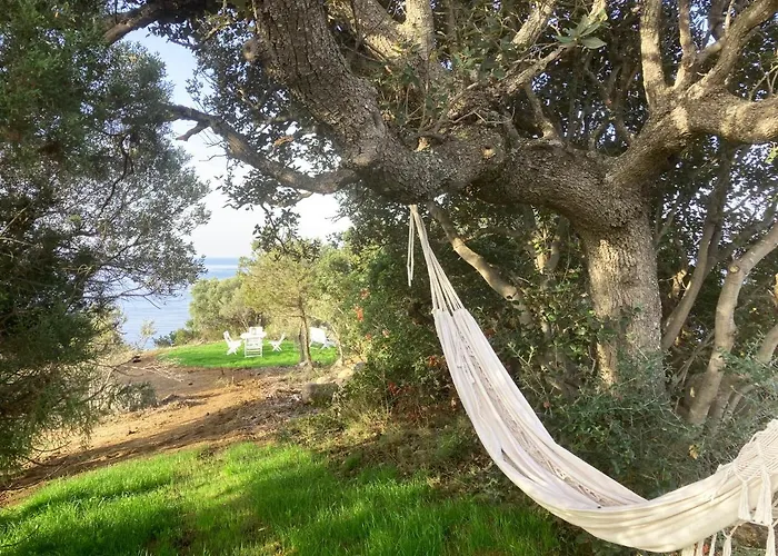 Domaine De La Coletta. Bergerie. Privative Casa vacanze *